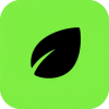 Envato Elements | Verified by email@hotmail/outlook, included. Account age: 30+ days. Profile complete. Country of registration: USA.